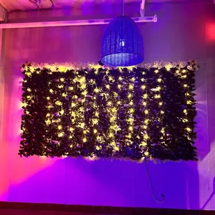 Interior dining room