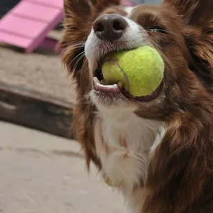 I love playing ball!