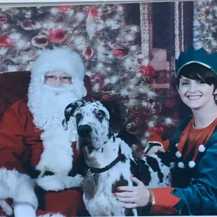 Zeus at their annual Santa event