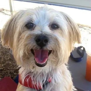 I love it when mommy brings me to daycare!