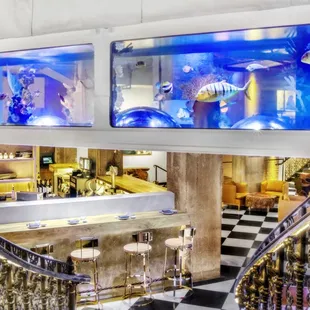 Dine Under The Sea at Mrs. Fish