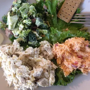 Salad plate minus the pasta! Best pimento cheese I have ever had!