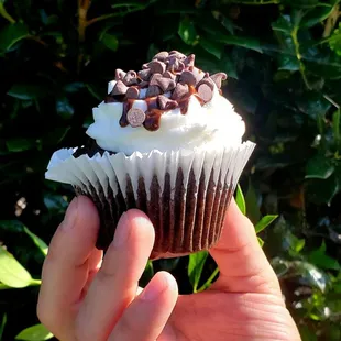 a hand holding a chocolate cupcake