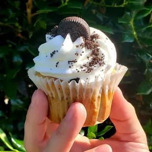 a hand holding a cupcake