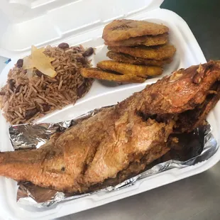 Red Snapper Fish Special