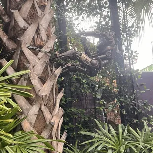 Invading the courtyard