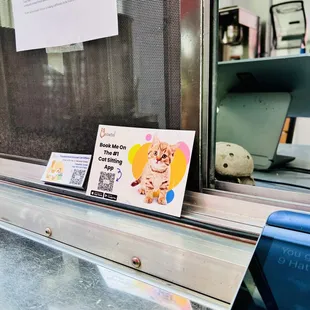 Support their local cat-sitters!