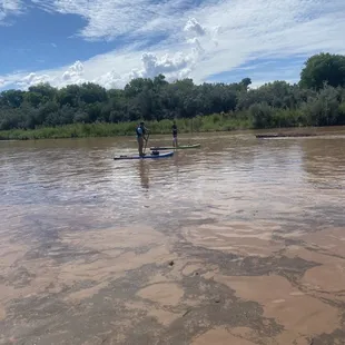 I would highly recommend MST Adventures if you're looking for a fun float down the Rio Grande!