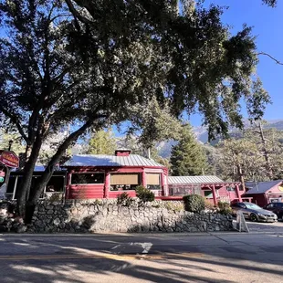 Outside in Dec 2023, 60° and gorgeous