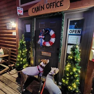 They want to say hi to the amazing staff 3