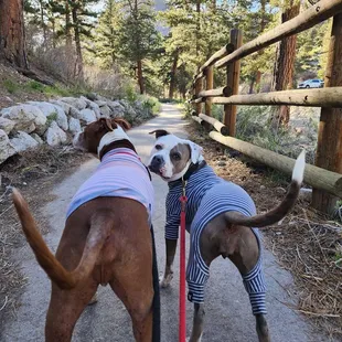 So many hiking trails nearby!