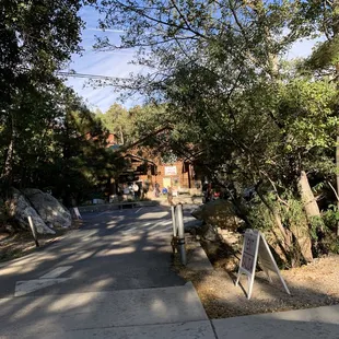 Hidden behind the trees