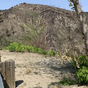 Bighorn fire did not hit Summerhaven, thanks to the firefighter's work!