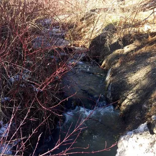Little creek alongside the store