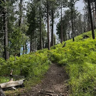 Hike on Meadow trail.