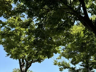 Weber Point Events Center