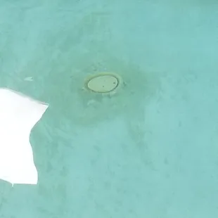 Dirt in the bottom of the pool...just filthy