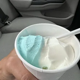 Blueberry and Vanilla soft serve ice cream in a cup. Forgot to snap a pic when it was fresh, it was so good!