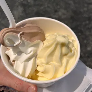 a person holding a bowl of ice cream