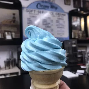 The best tasting blueberry ice cream, kid size for $2.25.