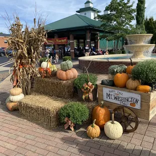 ay bales and pumpkins