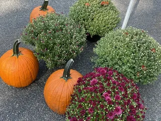 Beechmont Open Air Market