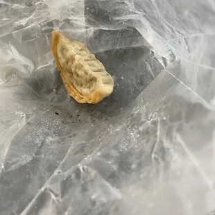 The last Dumpling