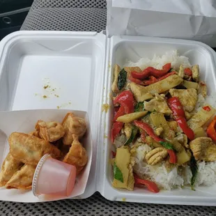 Chicken Dumplings