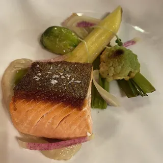 Fish of the Day