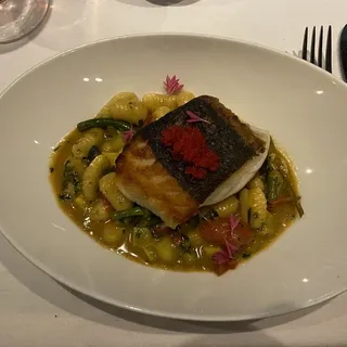 Pesce del Giorno
