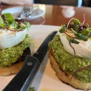 Pea pesto with burrata