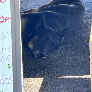 Baby girl is resting under her dads food truck