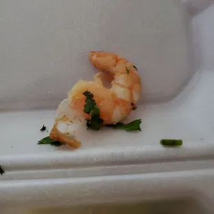 a shrimp in a styrofoam container