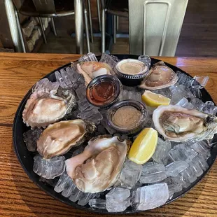 Fresh Gulf Oysters