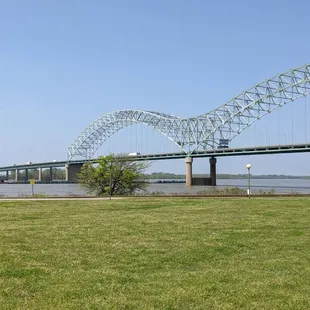 View of the bridge from the park