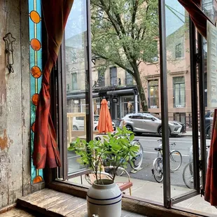 a potted plant on a window sill