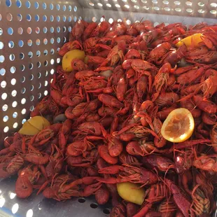 Fresh boiled Crawfish
