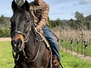 Sonoma Valley Trail Rides