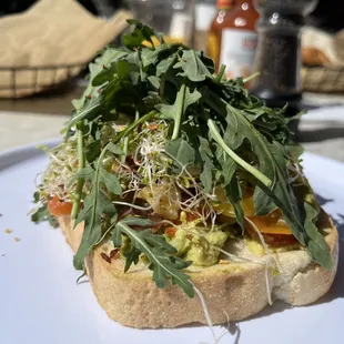 Avocado Toast (+arugula +sprouts +tomato relish)