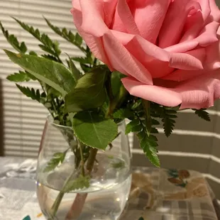 A beautiful rose from the muddy creek.