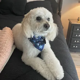Such a pretty girl