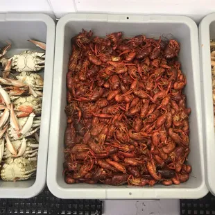 three trays of shrimp and crab