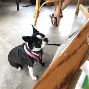 Agnes loves banana bread. Especially since it has no nuts!