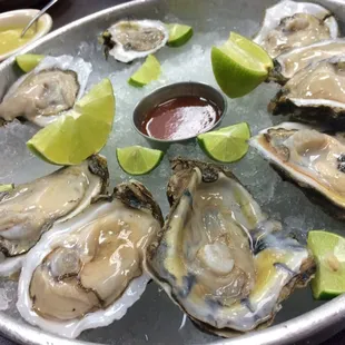 Oysters