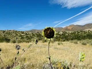 Ute Valley Park