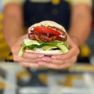 a person holding a sandwich