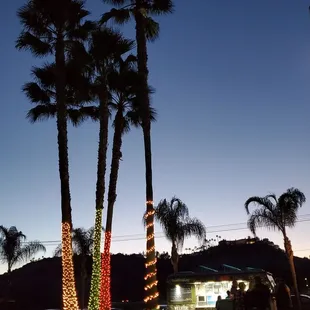 Nice trees and a taco truck outside the saloon