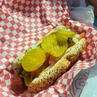 Chicago Dog