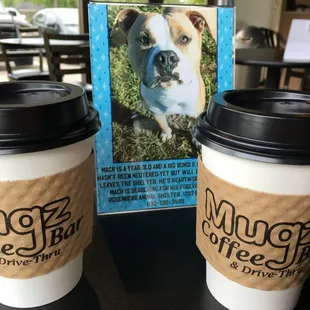 Dos mocha lattes &amp; an introduction to a beautiful puppy in need of a 4ever home