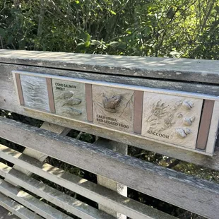 Pathway bridge